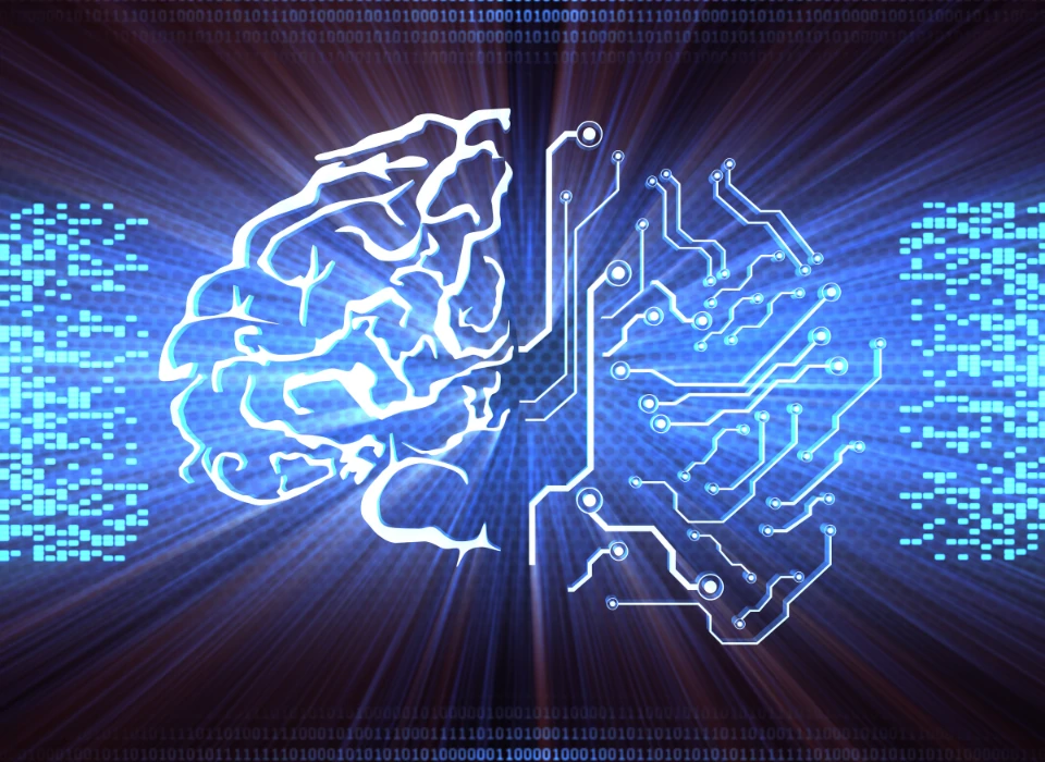 deuxième cerveau